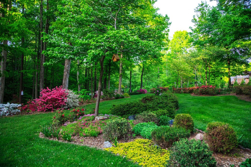 Commercial Landscape Maintenance