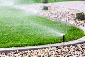 Keep lawn watered | Summer Lawn and Landscaping