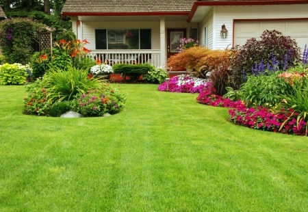 Summer Lawn and Landscaping Tips
