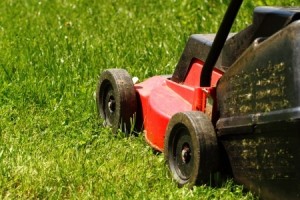 mowing the lawn | summer lawn and landscaping