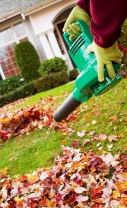 Leaf Blower | Mansell Landscape Management