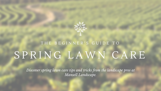 Spring Lawn Care Tips | Mansell Landscape