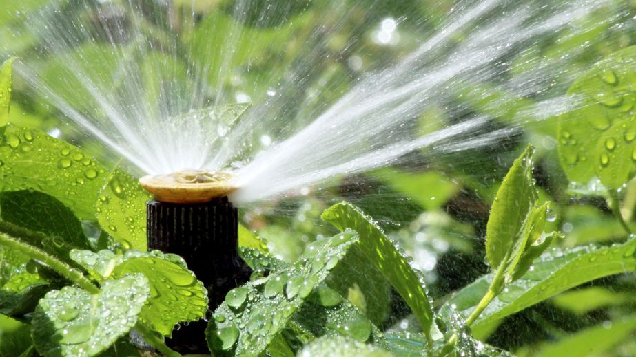 Irrigation System Maintenance | Mansell Landscape Management