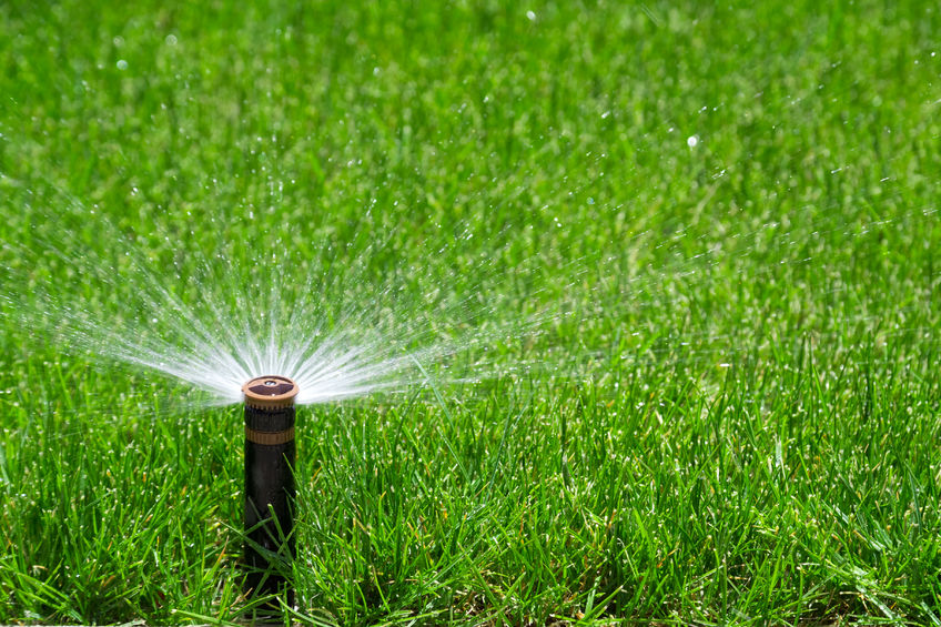 Sprinkler Watering Grass | Mansell Landscape Management