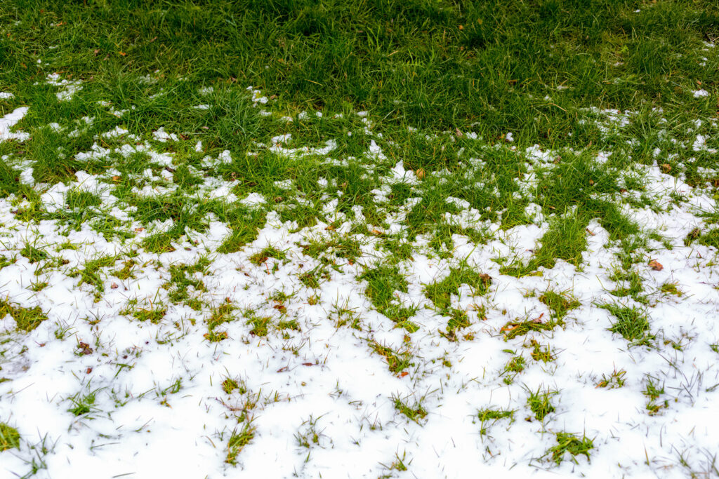 Keep Foot Traffic Low In Winter Months | Mansell Landscape Management 