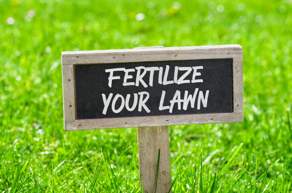 Fertilize Your Grass In Winter | Mansell Landscape Management 