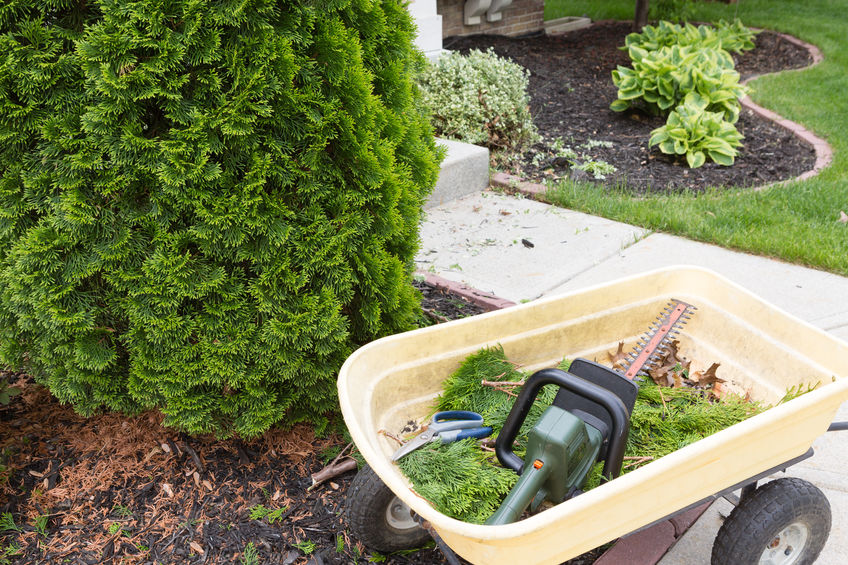 Winter Landscaping For Your Home | Mansell Landscape Management