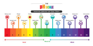 The pH scale | Mansell Landscape Management