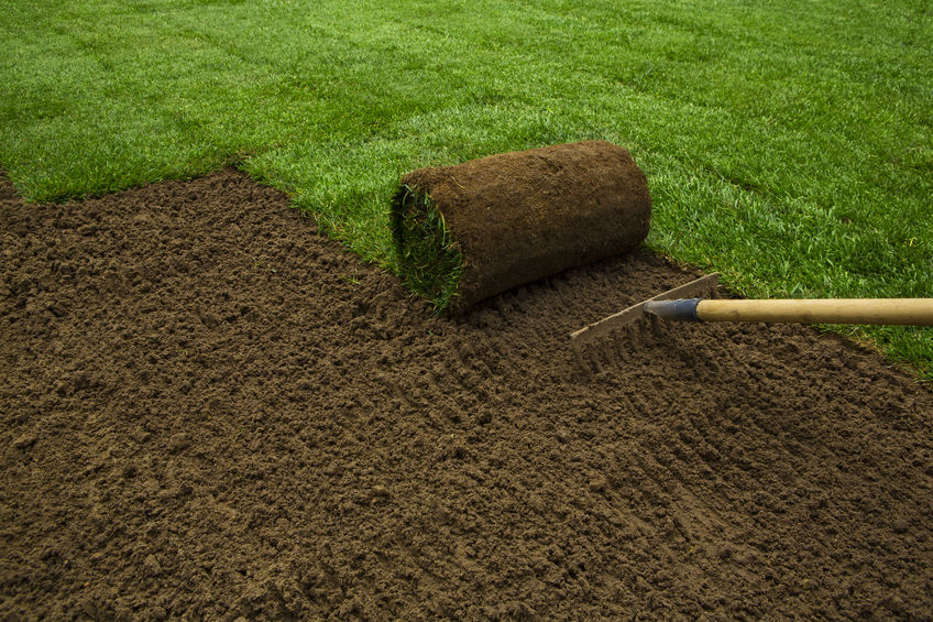 Benefits of Sod For Your Lawn | Mansell Landscape