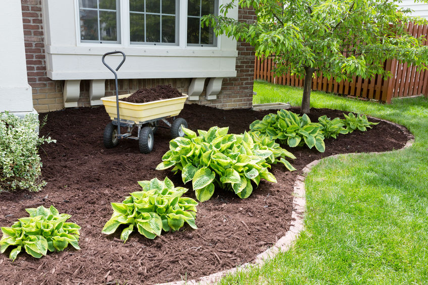Benefits Of Mulch for your yard | Mansell Landscape