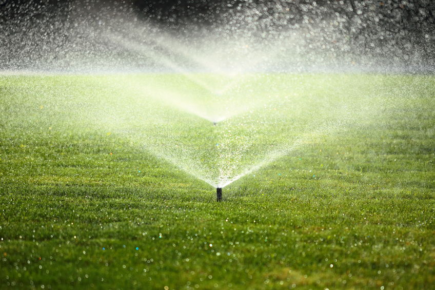 how often should you water your lawn | Mansell Landscape