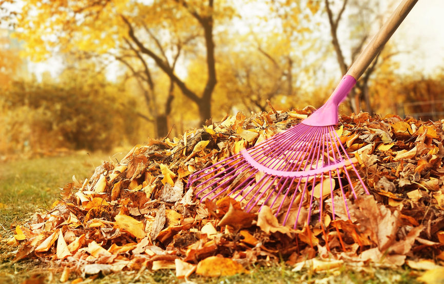fall lawn care tips | Mansell Landscape