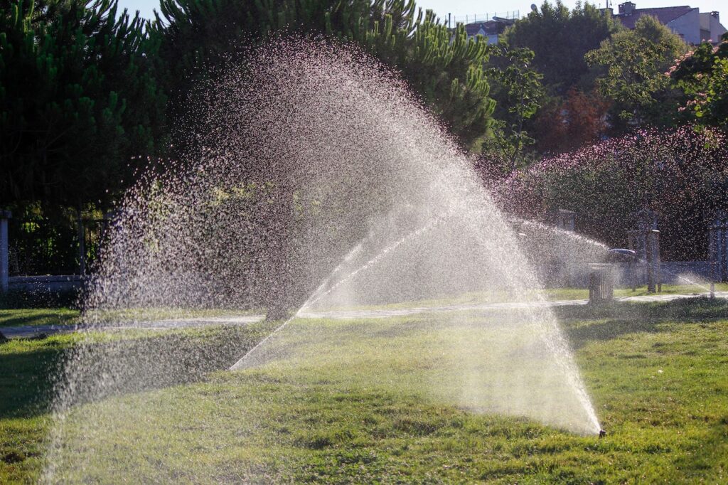 how often should you water your grass | Mansell Landscape