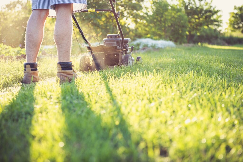 Late Summer Lawn Care Tips | Mansell Landscape
