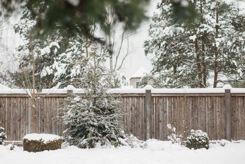 Winter Landscaping Tricks | Mansell Landscape